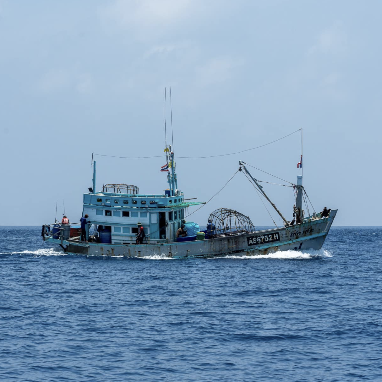 Wild Trevally Fillet (270-300g)